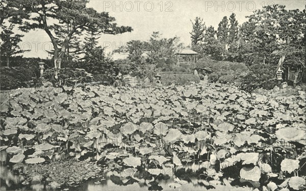 'The Lotus of Buddhism', 1891. Creator: Unknown.