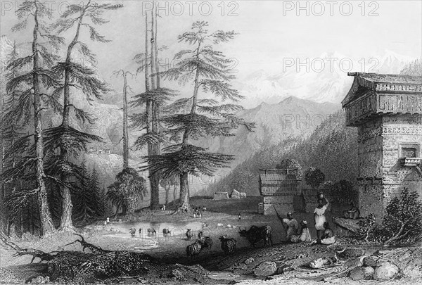 'Village of Koghera and Deodar Forest, near the Choor', 1838. Creator: George Francis White.