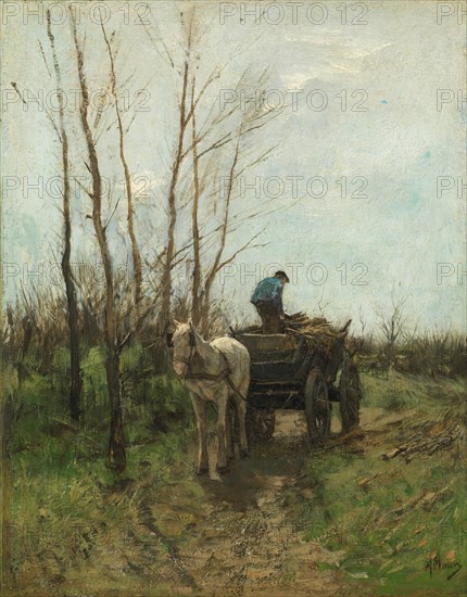 Gathering Wood. Creator: Anton Mauve.