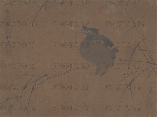 Mynah on Reed. Creator: Attributed to Fulan Taorên.