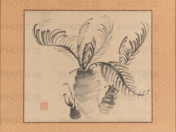 Cycad, mid-18th century. Creator: Ike no Taiga.