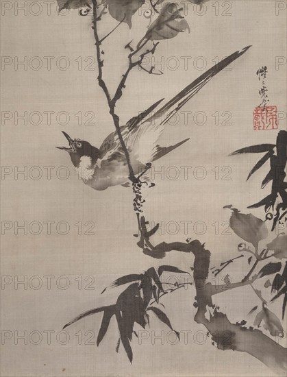 Singing Bird on a Branch, ca. 1887. Creator: Kawanabe Kyosai.