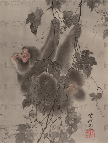 Monkey Hanging from Grapevines, ca. 1887. Creator: Kawanabe Kyosai.