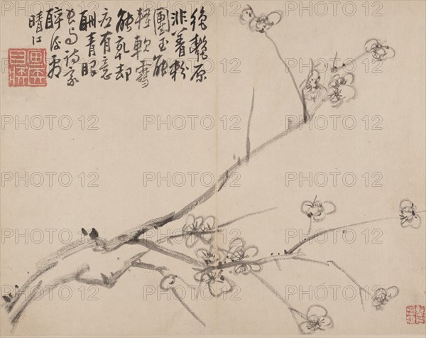 Album of Blossoming Plum, 1742. Creator: Li Fangying.