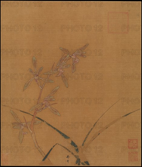 Orchids, second quarter of the 13th century. Creator: Ma Lin.