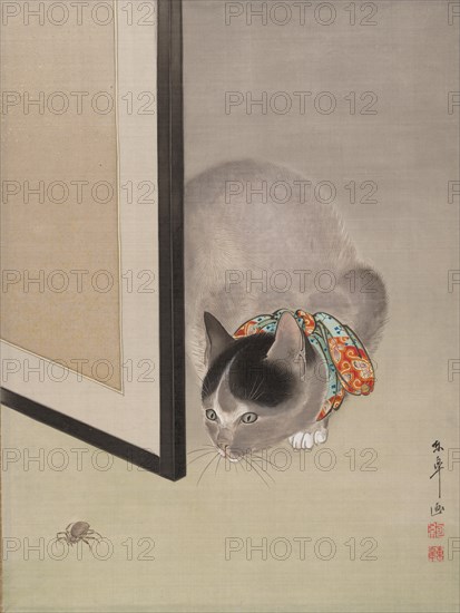 Cat Watching a Spider, ca. 1888-92. Creator: Toko Oide.