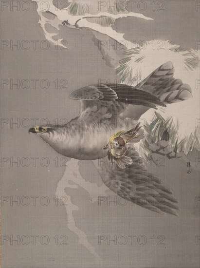 Hawk Holding a Small Bird, ca. 1891-92. Creator: Okada Baison.