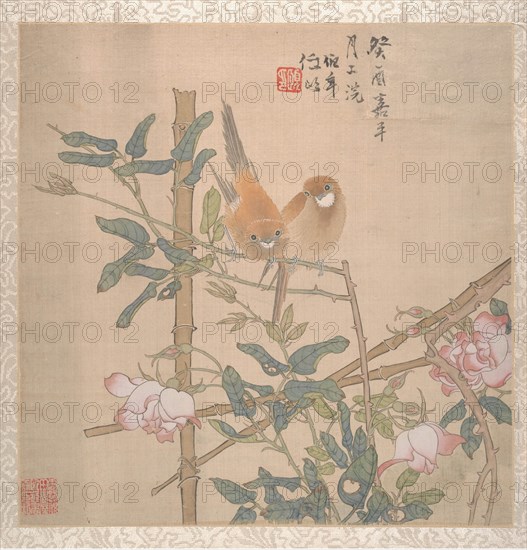 Two Birds Perched on a Flowering Rose Bush, late 19th century. Creator: Ren Yi.