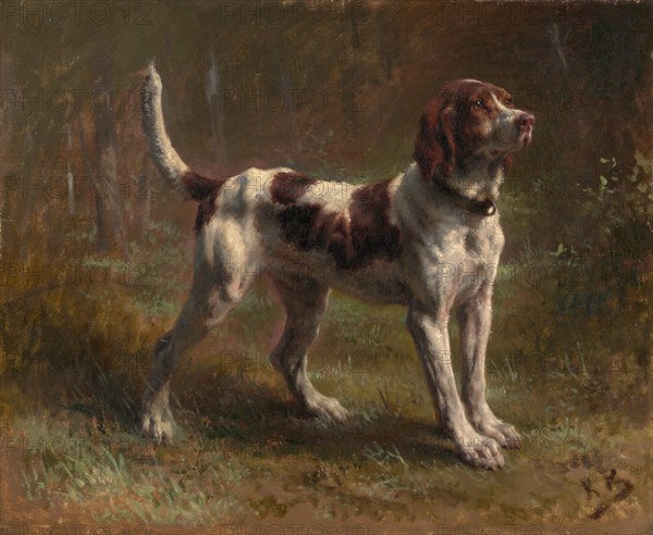 A Limier Briquet Hound, ca. 1856. Creator: Rosa Bonheur.