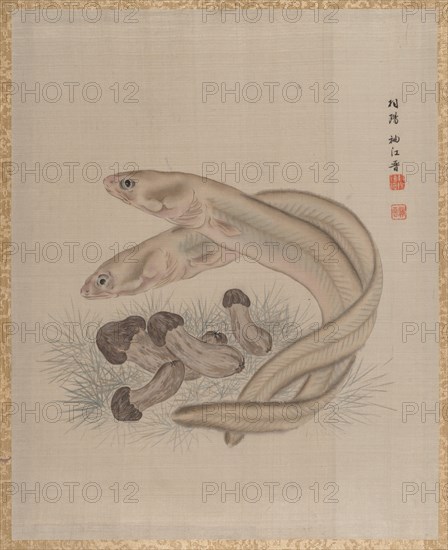 Eels, ca. 1890-92. Creator: Seki Shuko.