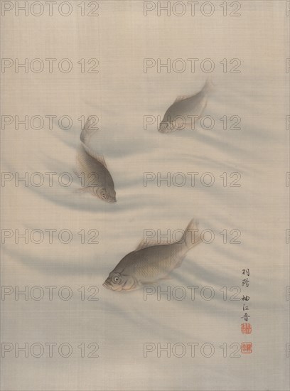 Fishes Swimming, ca. 1890-92. Creator: Seki Shuko.