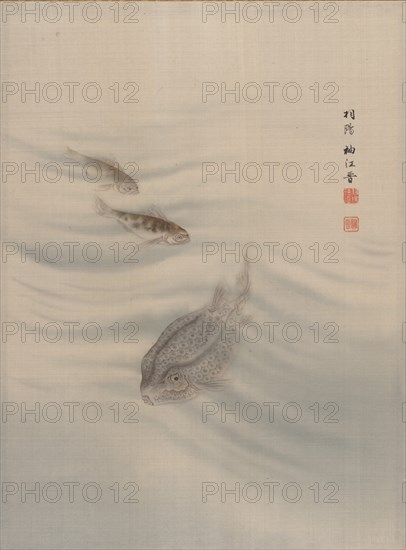 Fishes, ca. 1890-92. Creator: Seki Shuko.