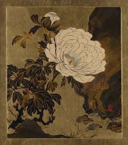 Lacquer Paintings of Various Subjects: Peonies, 1882. Creator: Shibata Zeshin.