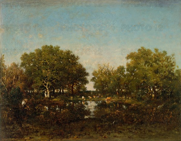 The Pool (Memory of the Forest of Chambord), 1839. Creator: Theodore Rousseau.