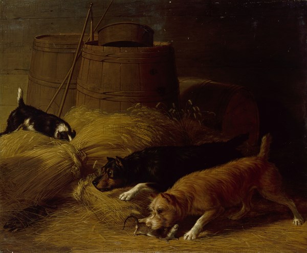 Rats amongst the Barley Sheaves, 1851. Creator: Thomas Hewes Hinckley.