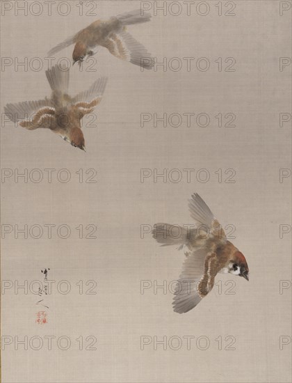 Sparrows Flying, ca. 1887. Creator: Watanabe Seitei.