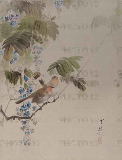 Birds and Flowers, ca. 1887. Creator: Watanabe Seitei.
