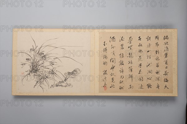 Refined Elegance in the Four Seasons (Shiji seiga), Album of Flower Paintings, 1844. Creator: Yamamoto Baiitsu.