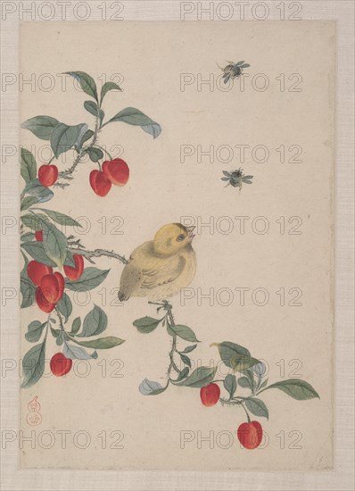 Birds, Insects and Flowers, 19th century. Creator: Yi Zhai.