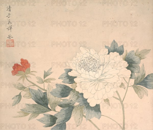 Flower Study, 17th century. Creator: Yun Bing.