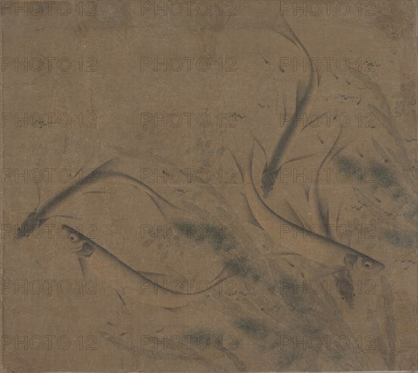 Fish at play, 12th-late 13th century. Creator: Attributed to Zhao Kexiong (Chinese, active early 12th century).