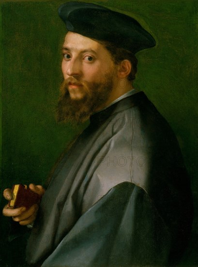 Portrait of a Man, 1528-30. Creator: Andrea del Sarto.
