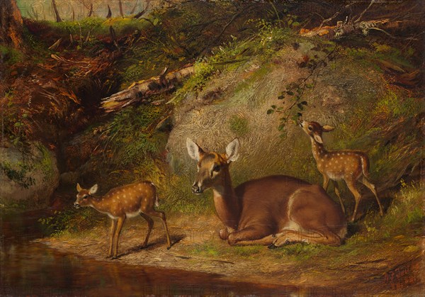 Doe and Two Fawns, 1882. Creator: Arthur Fitzwilliam Tait.