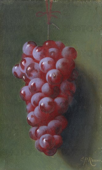 Still Life with Grapes. Creator: Carducius Plantagenet Ream.