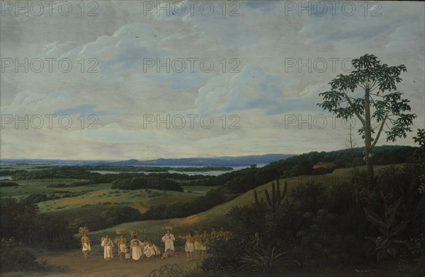 A Brazilian Landscape, 1650. Creator: Frans Post.