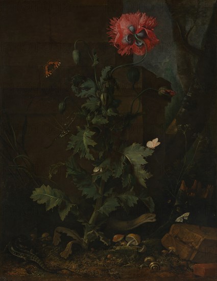 Still Life with Poppy, Insects, and Reptiles, ca. 1670. Creator: Otto Marseus van Schrieck.