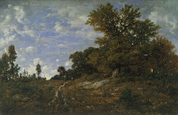 The Edge of the Woods at Monts-Girard, Fontainebleau Forest, 1852-54. Creator: Theodore Rousseau.