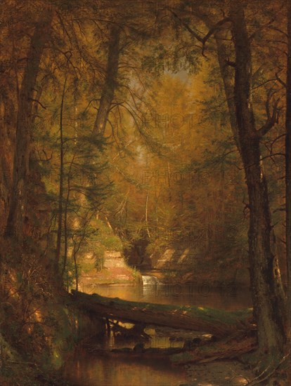 The Trout Pool, 1870. Creator: Worthington Whittredge.