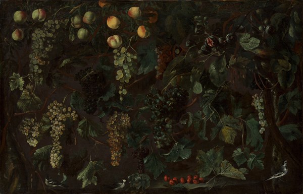 Grape Vines and Fruit, with Three Wagtails, ca. 1615-18. Creator: Bartolomeo Cavarozzi.