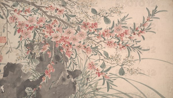 Garden Flowers, dated 1540. Creator: Unknown.