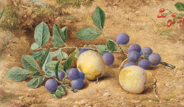 Plums, 1870. Creator: John William Hill.