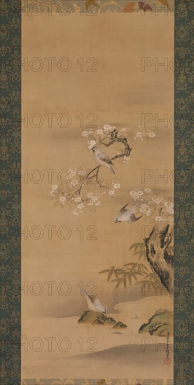 Waxwings, Cherry Blossoms, and Bamboo, late 17th century. Creator: Kiyohara Yukinobu.