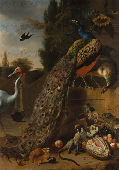 Peacocks, 1683. Creator: Melchior d'Hondecoeter.
