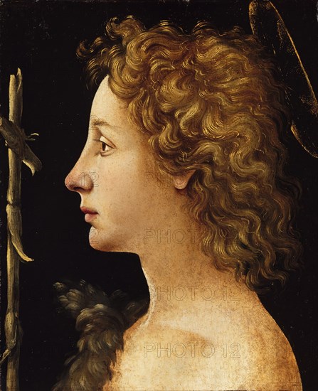 The Young Saint John the Baptist, ca. 1480-82. Creator: Piero di Cosimo.