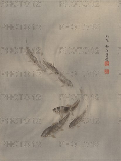School of Fishes, ca. 1890-92. Creator: Seki Shuko.