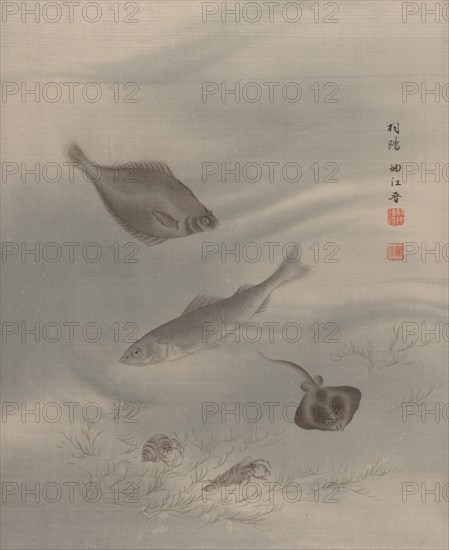 Fishes, ca. 1890-92. Creator: Seki Shuko.