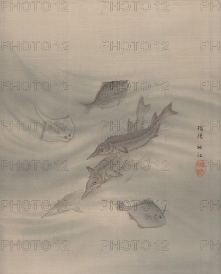 Fishes, ca. 1890-92. Creator: Seki Shuko.