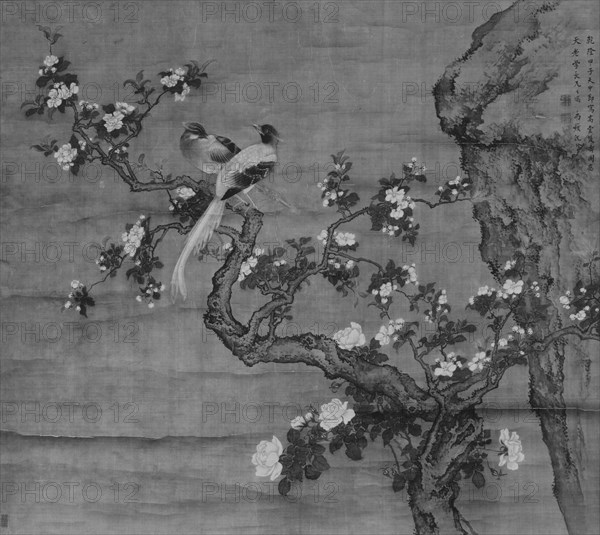 Flowering Crabapple and Pair of Birds, dated 1744. Creator: Shen Nanpin.