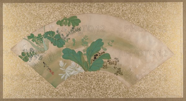 Various Plants and Grass, late 19th century. Creator: Shibata Zeshin.