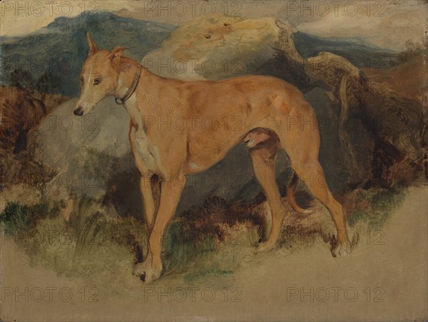 A Deerhound, 1826. Creator: Edwin Henry Landseer.