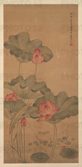 Red Lotus and Fish. Creator: Tang Guang.