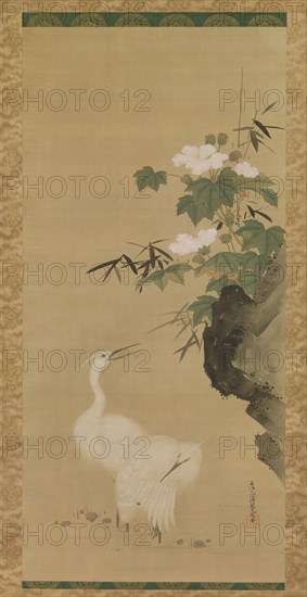 Egrets and Cotton Roses, mid- to late 17th century. Creator: Tosa Mitsuoki.