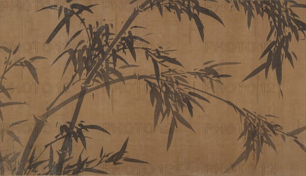 Bamboos. Creator: Unknown.