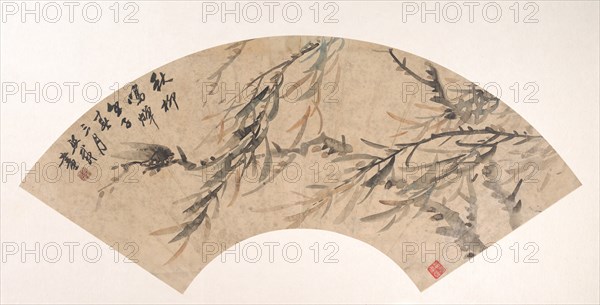 Cicada, dated 1852. Creator: Wu Xizai.