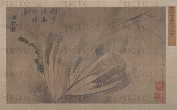 Cabbage and Insects. Creator: Xu Daoguang.