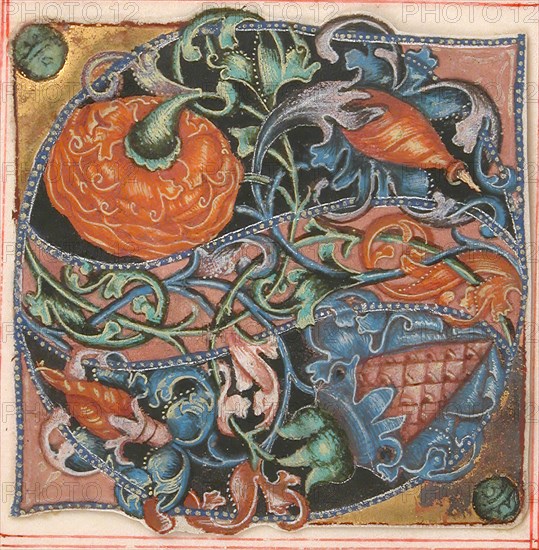 Manuscript Illumination with Initial S, from a Choir Book, 16th century. Creator: Unknown.